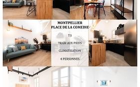 T3 - Idéal emplacement et business - La Conciergerie Martinkey’s